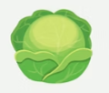 Cabbage