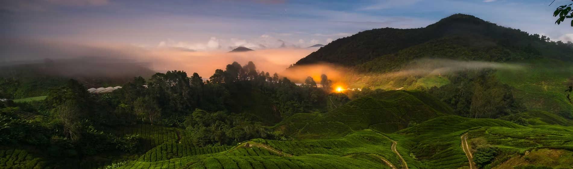 Sunrise over the Moringa hills in Costa Rica