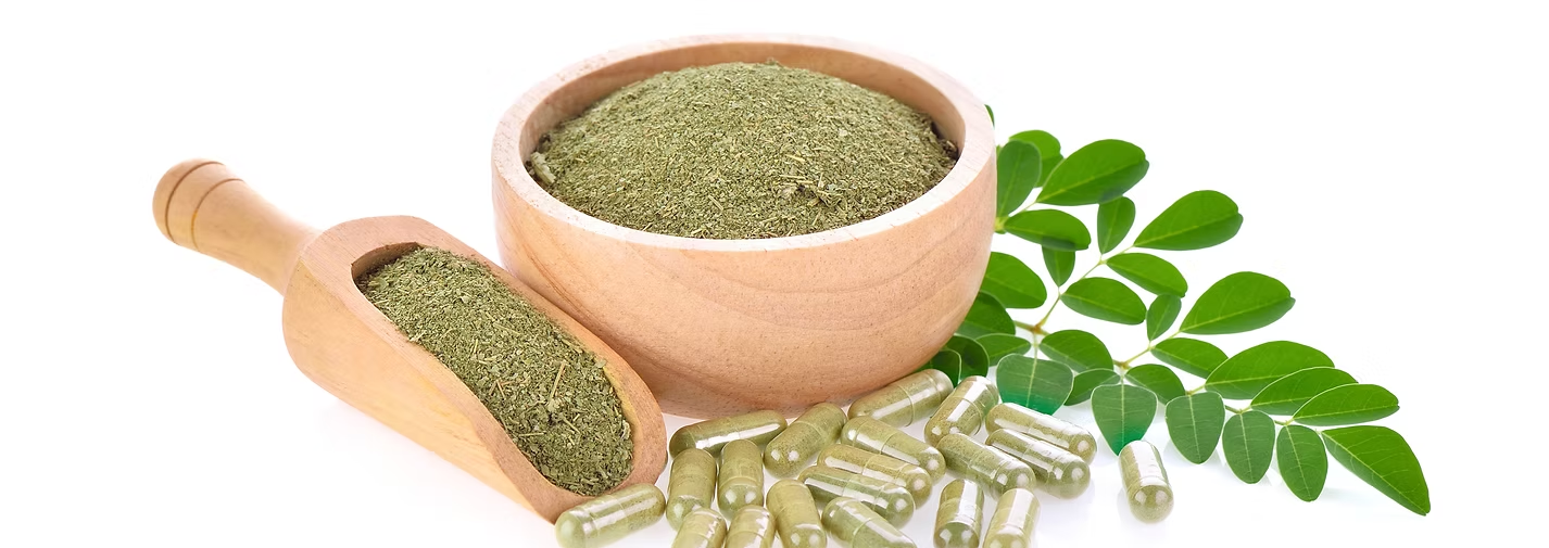 European plant markets & Moringa demand
